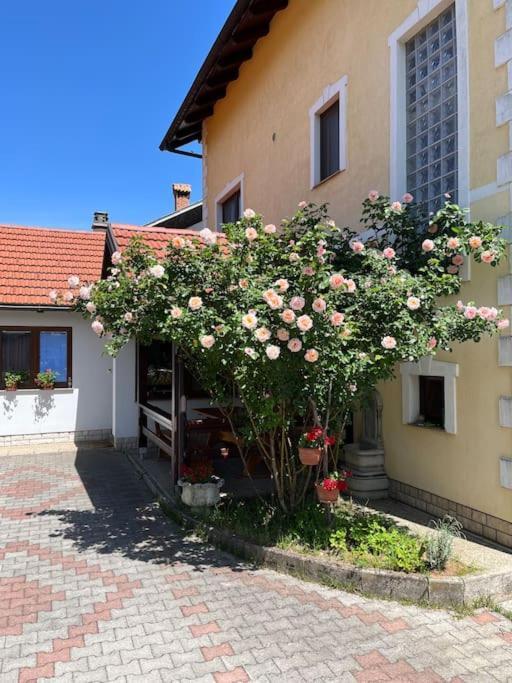 Room In Otocac Helena Exterior foto